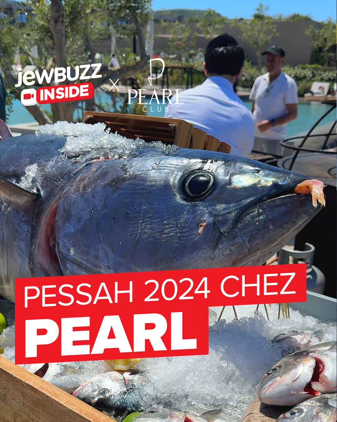 pearl2024-jewbuzz_inside